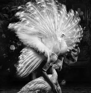 Meet your Posher, Leslie